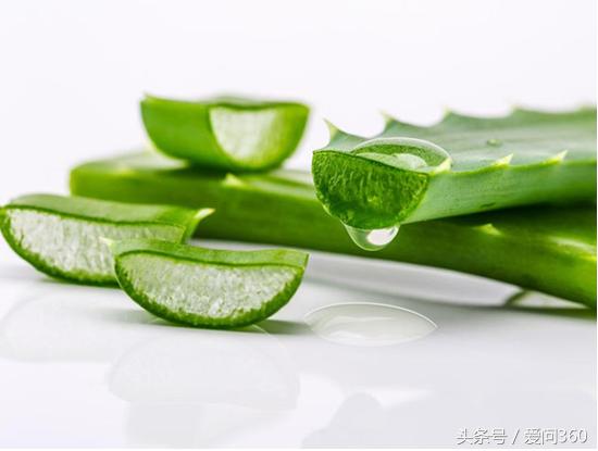 芦荟都是有什么样的用处怎样用,芦荟有一些什么用途和作用