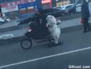 一个人在家觉得太孤单,女子一个人在家太孤单