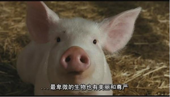 周星驰10句经典台词,周星驰周润发经典台词片段