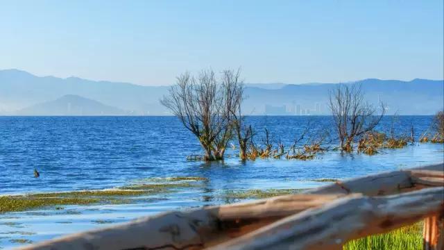 杭州工资收入区间分布,杭州工资查询