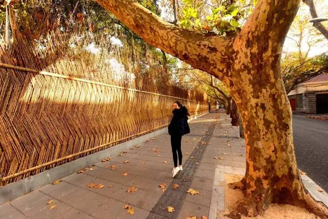 你恨谁就转给谁吧！到岳阳路看蒙古大叔，跟俞菱吃希腊大餐