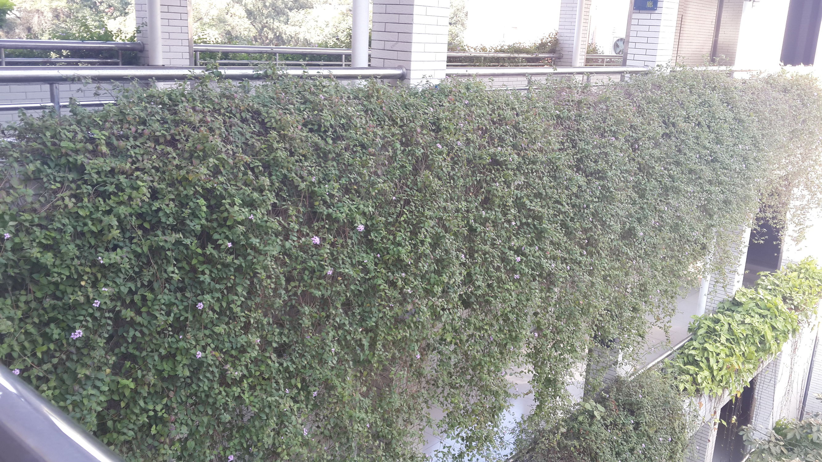 小学期末考试作文跑题扣多少分,期末作文怎么提分最好