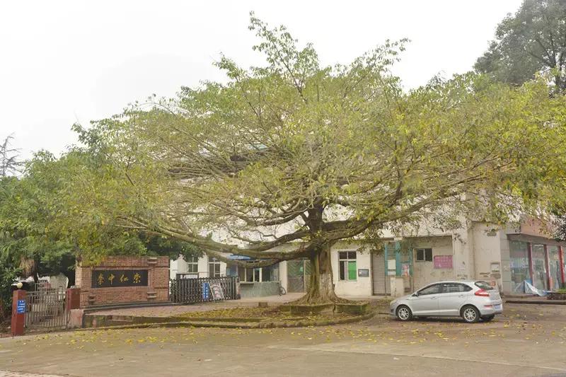 Hello!眉山车辆厂!只有东北人能看懂!