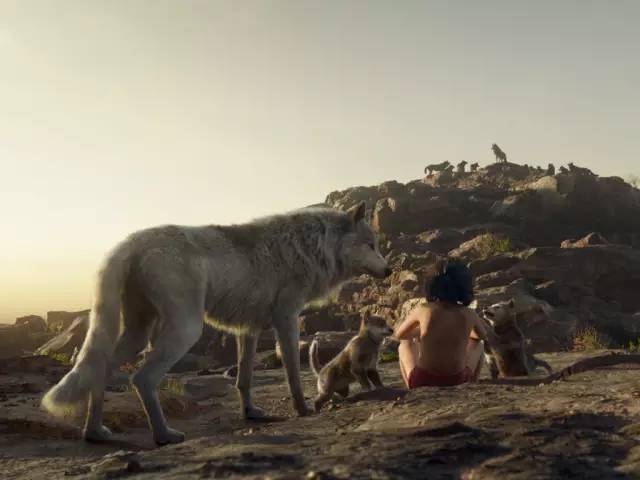 当最地道的重庆话出现在热剧中，每一部都像“生活麻辣烫”！