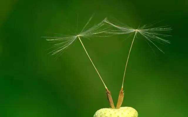 做微商的沟通技巧和方法,怎么做好微商想做微商必看