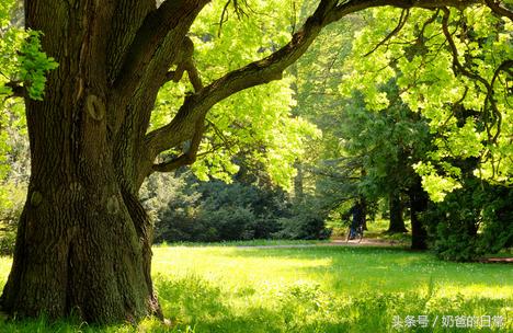 小孩突然失语不能动过一会恢复,宝宝突然晕厥失去意识