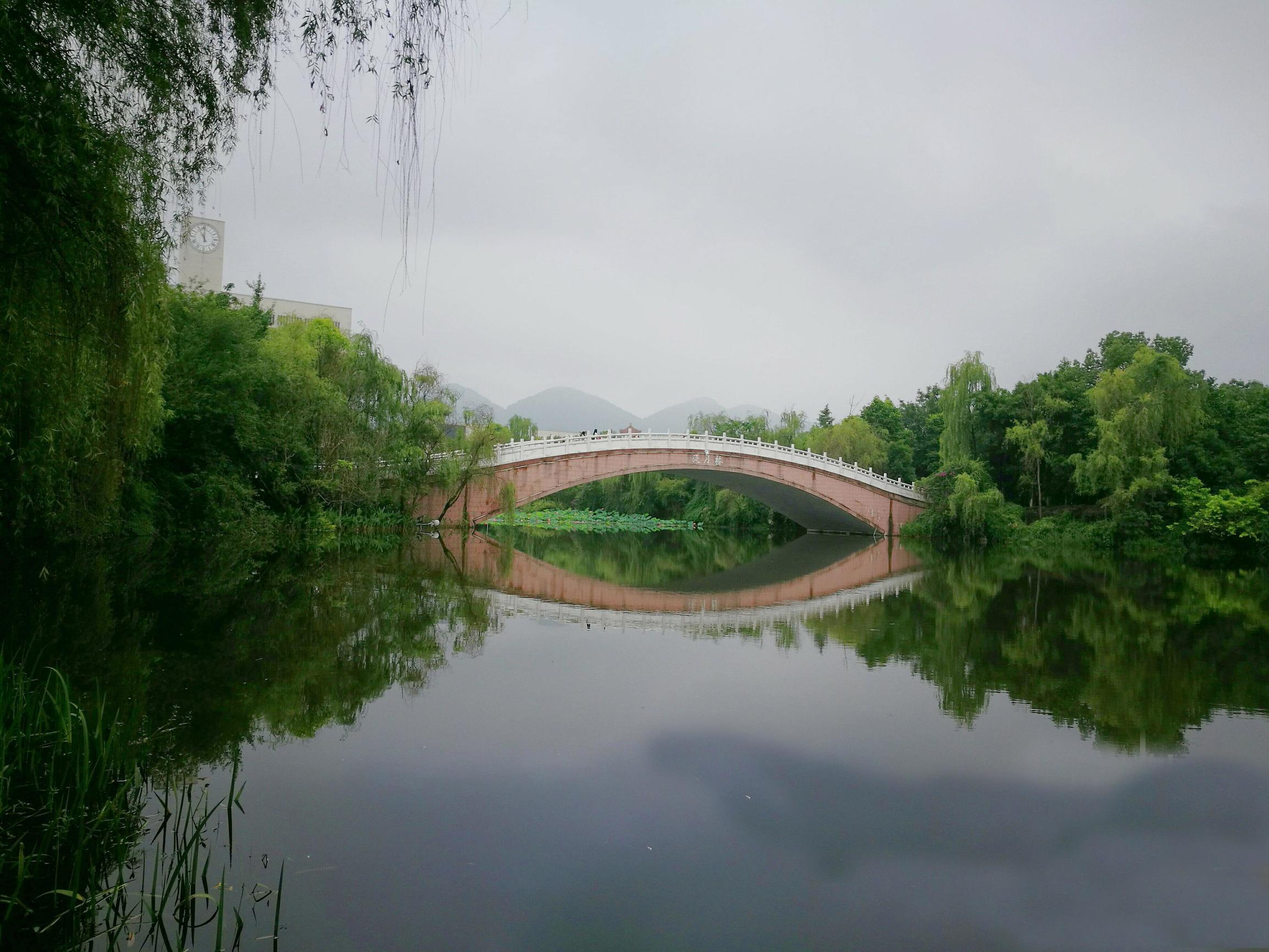 重庆十大最美的大学排行榜,重庆最美风景区排名