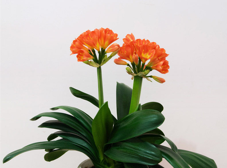 小学期末考试作文跑题扣多少分,期末作文怎么提分最好