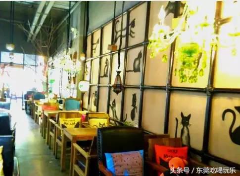 猫咪主题餐厅一览表,首家猫咪主题餐厅