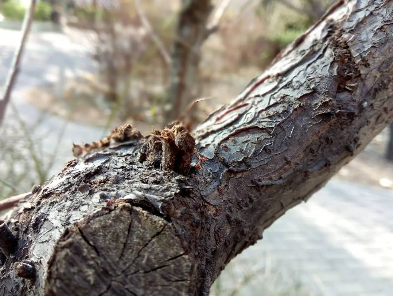 金立s9到底怎么样,金立s9性能怎么样