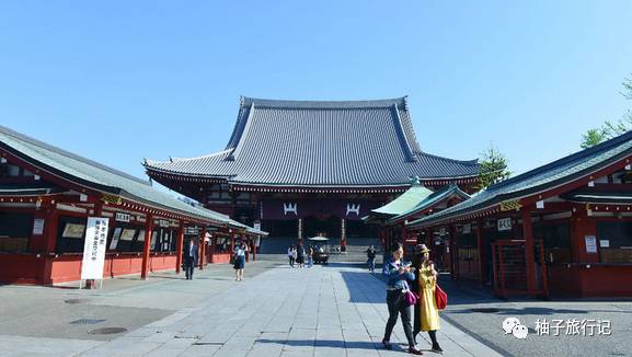 樱花旅行记全集视频,日本樱花7日游攻略大全