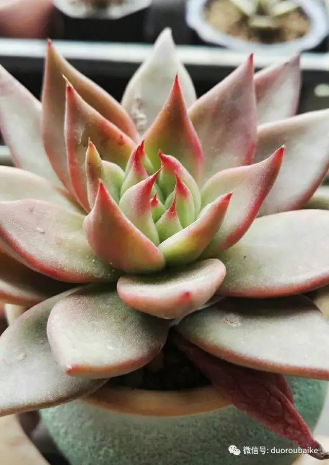 美好的时光带来快乐,美好的时光伴随着我