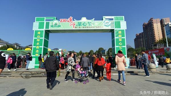 连州菜心拍卖最高价,至尊连州菜心什么价