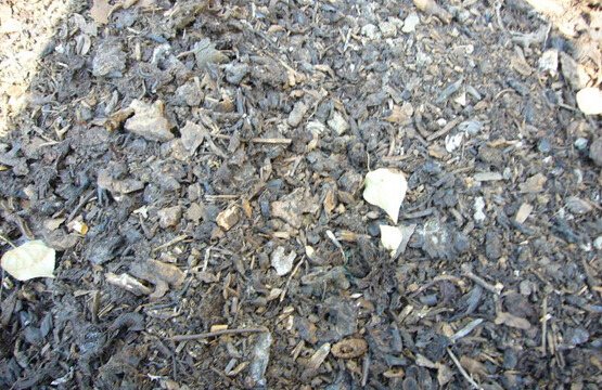 浇化肥花盆土壤板结怎么办,花盆土壤板结太深如何透气