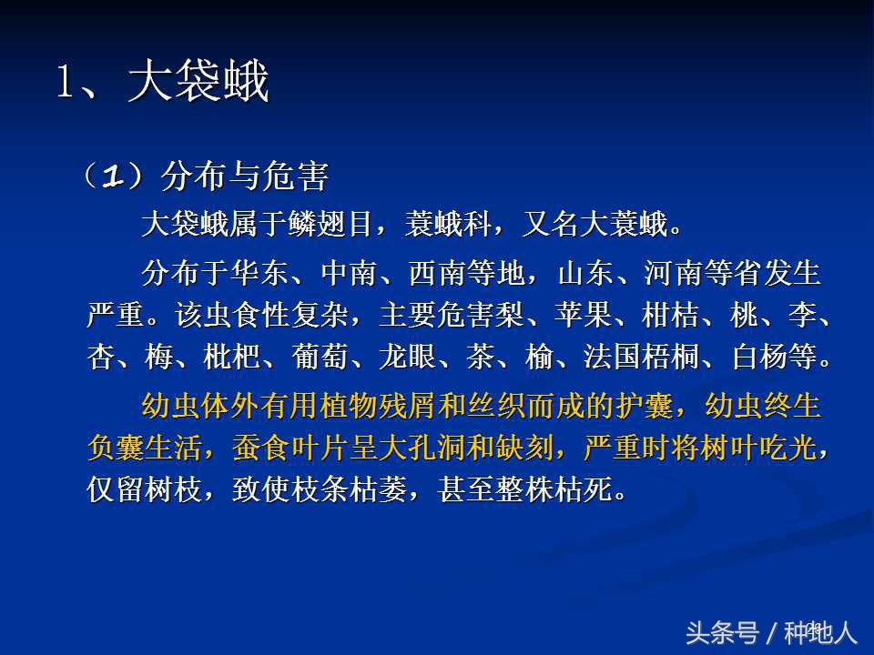 会吃叶子的虫子有哪些,哪些虫子爱吃树叶虫