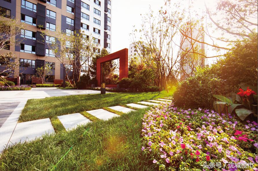 根据喜好买房,按排号顺序选房