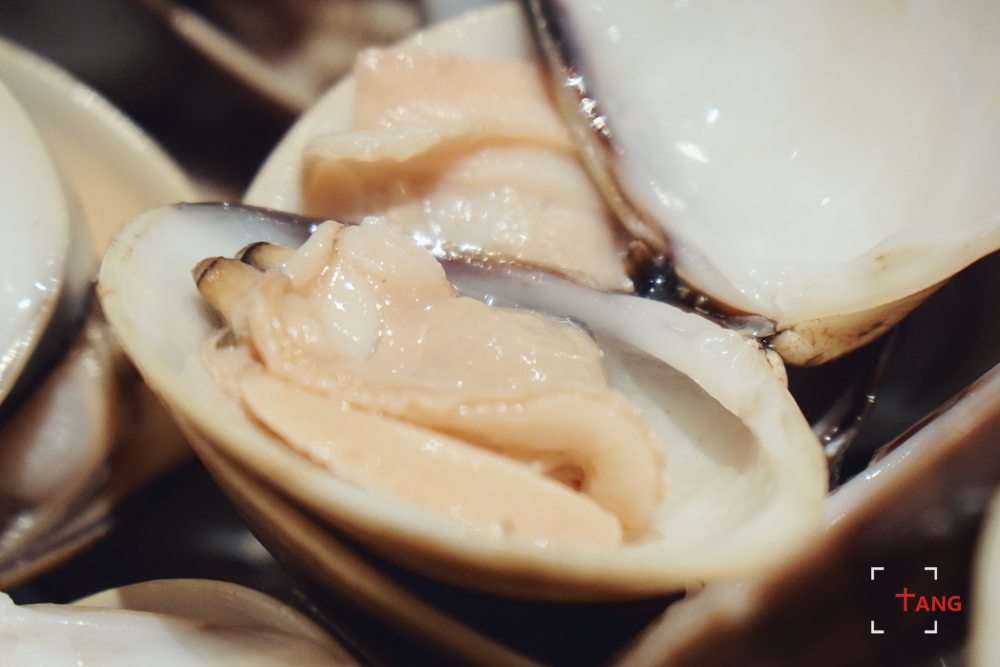 一起去澳门过圣诞,去澳门过圣诞