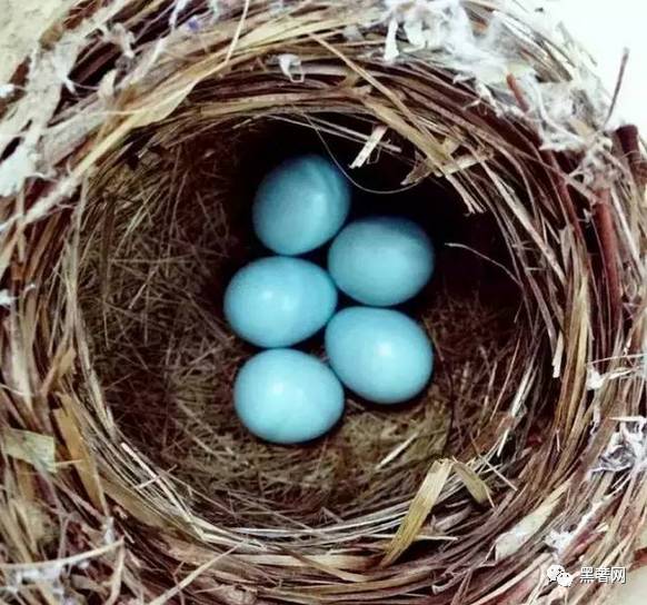 tiffany钻戒取不下来,爱情会过期承诺会失效