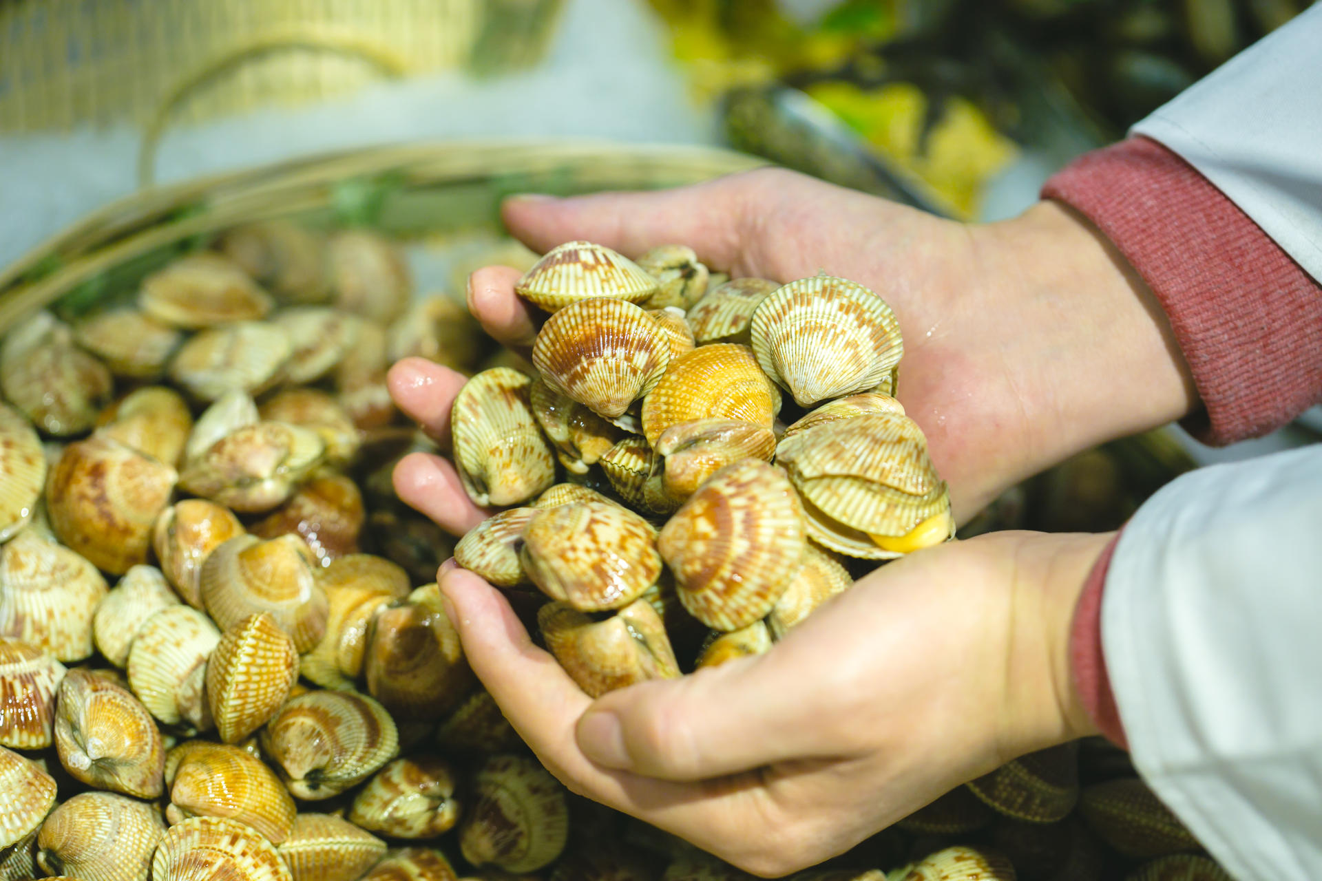 津城海鲜自助,天津蒸汽海鲜自助