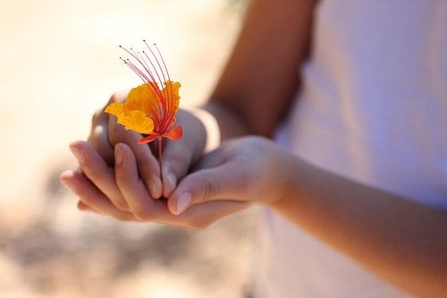 便秘的13种中医分型及食疗方案之七：肝经受寒，大肠失司