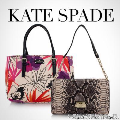 美亚海淘和中国亚马逊海外购区别,美亚海淘直邮攻略