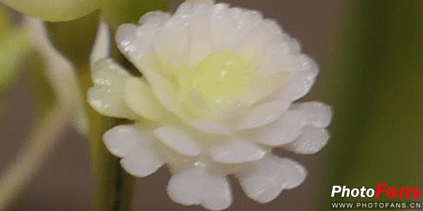 松下口袋相机lx10,松下lumixlx10长焦