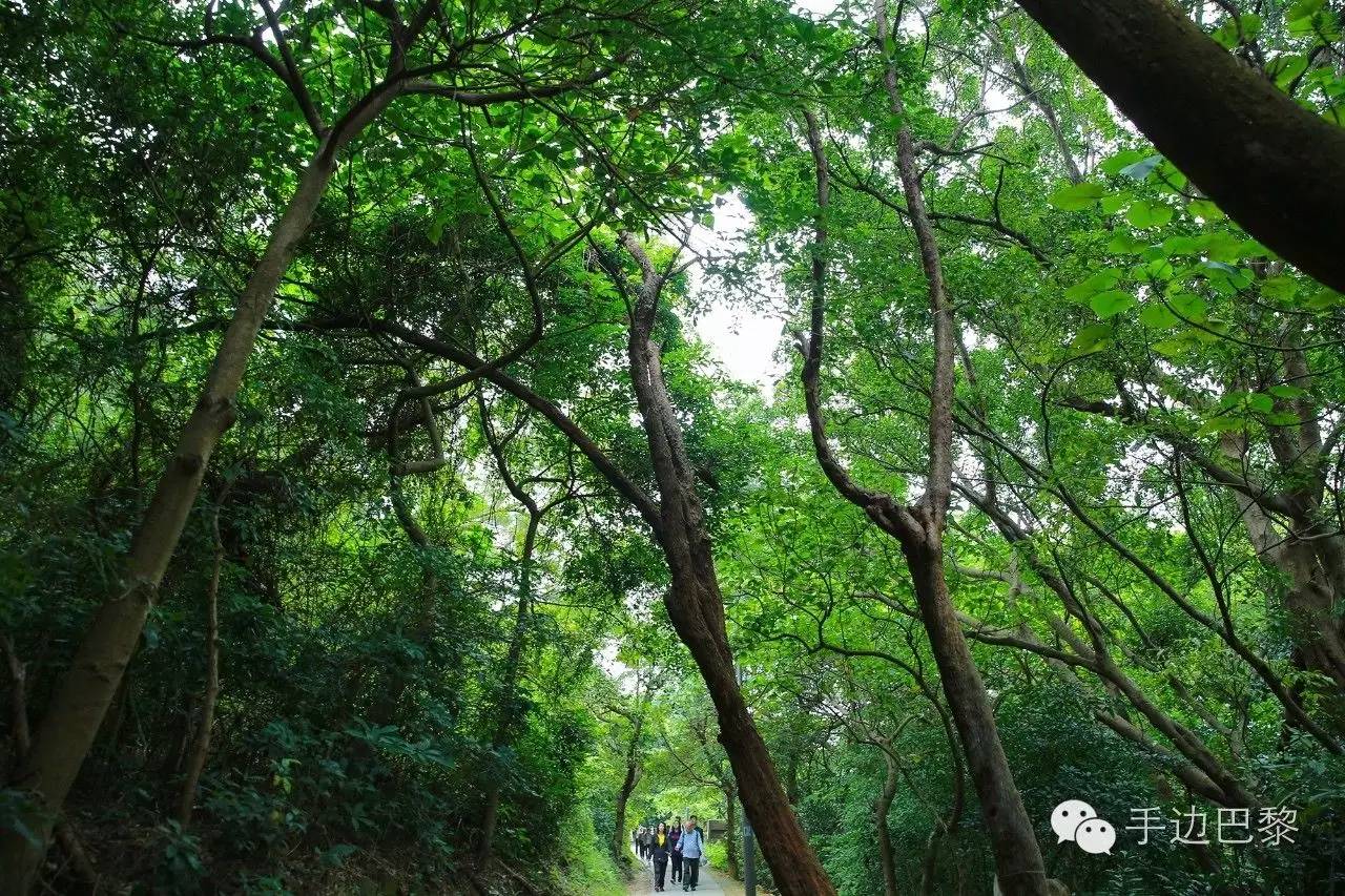香港旅游攻略地图推荐,香港旅游攻略带地图