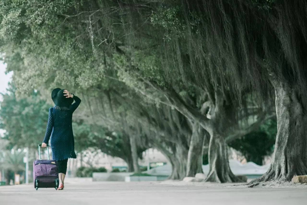 高中学生拉杆箱适合软箱还是硬箱,出差什么拉杆箱好