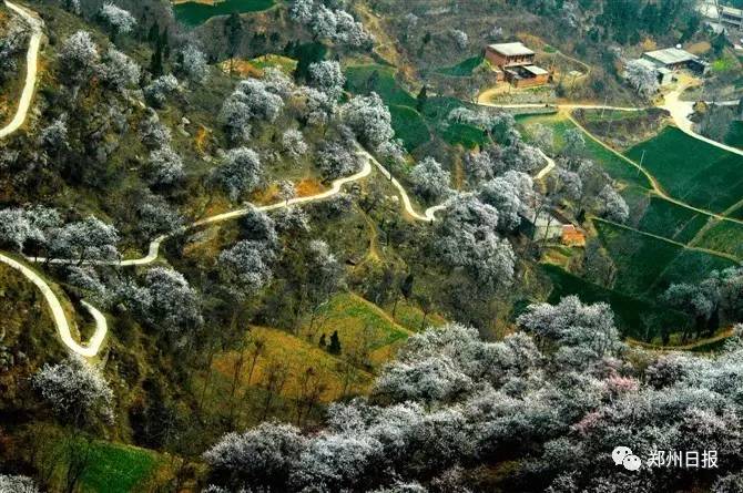 郑州旅游年卡是景点免费还是打折,郑州旅游景点景区年卡优惠攻略