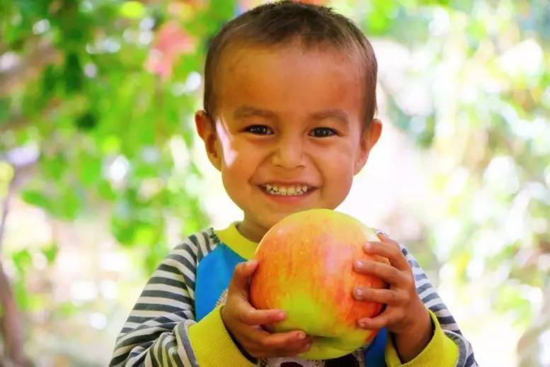 坐着飞机去度假,坐着飞机去过年