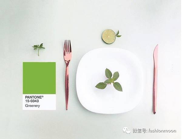 pantone2019年流行色都有什么,pantone2023流行色英文视频