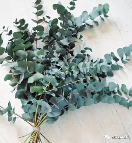 朋友来你家美到哭,手残*党**也能搞定的低价节日餐桌