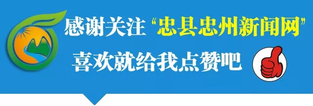 好消息！不需要代购商 忠县市民在家就可买到全球好货~
