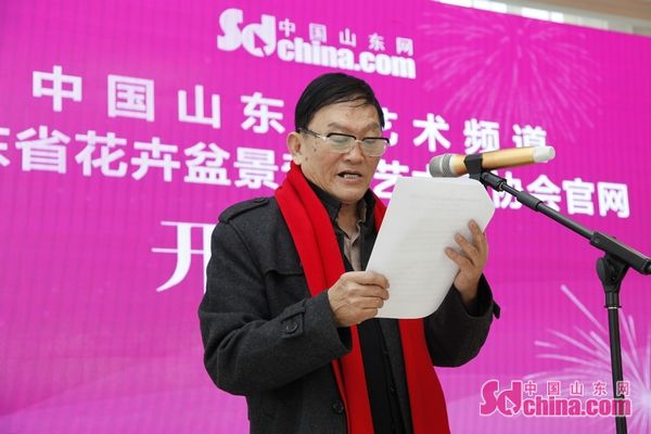 山东花卉盆景奇石艺术家协会,山东盆景赏石协会