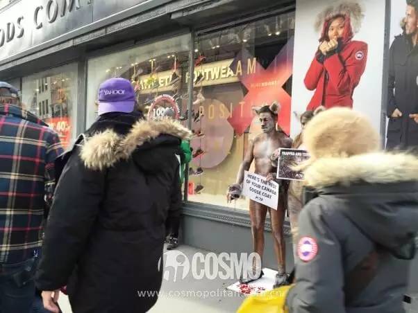 比雪地靴还好的鞋,canadagoose哪款是鹅绒