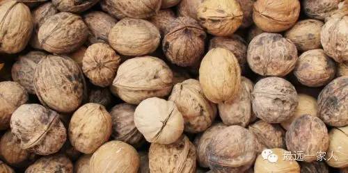 坐着飞机去度假,坐着飞机去过年