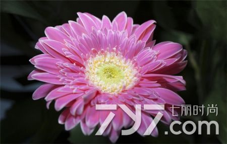 痔疮坐浴时需要把痔疮拉出来吗,痔疮怎么治疗用哪种痔疮药好