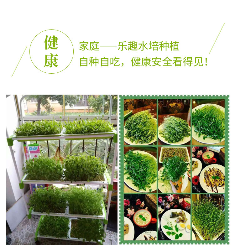 蔬菜怎么吃最健康,绿色健康蔬菜菜谱