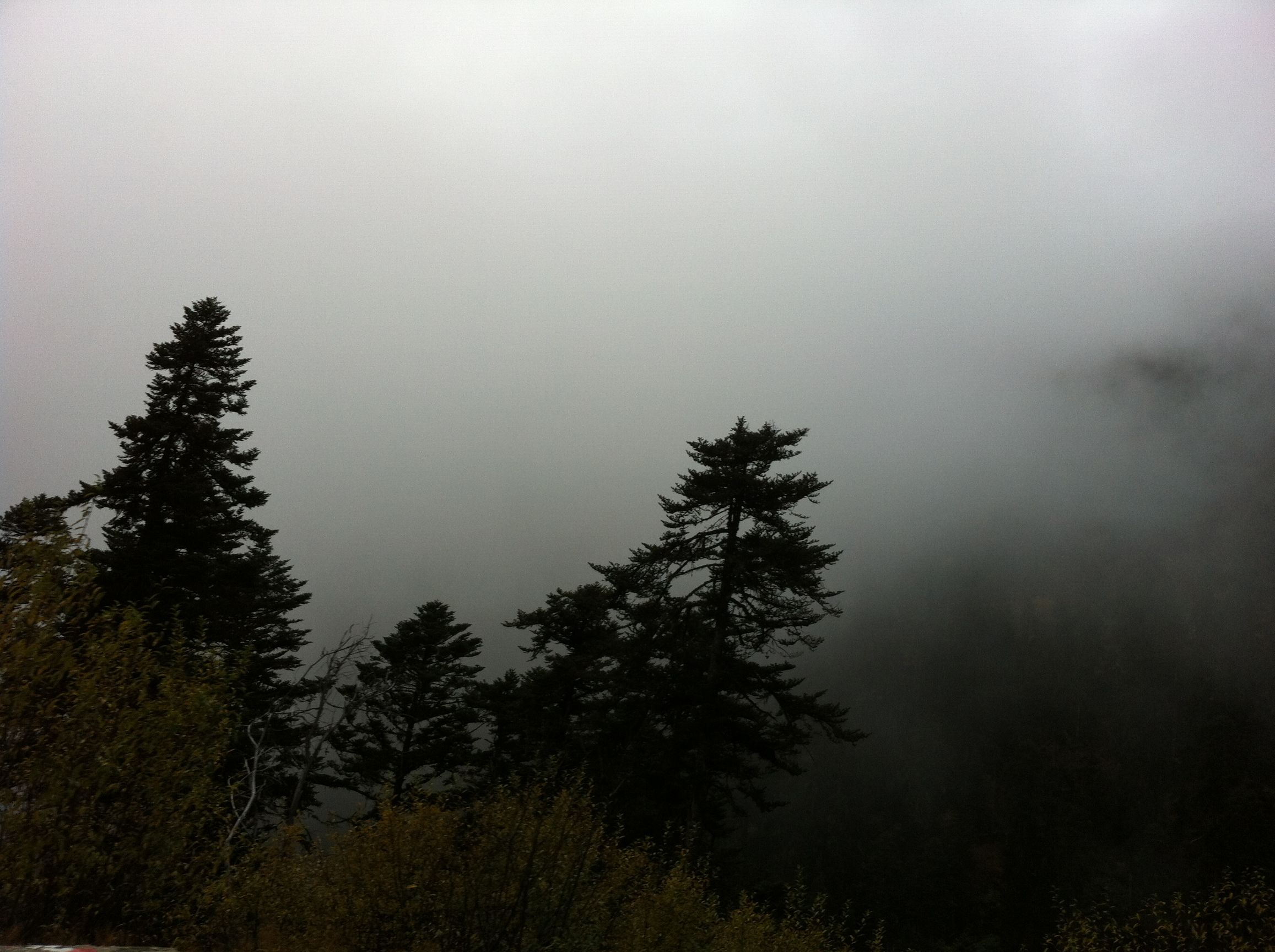 穿越色季拉山口吃到酸臭的牦牛奶渣（二）