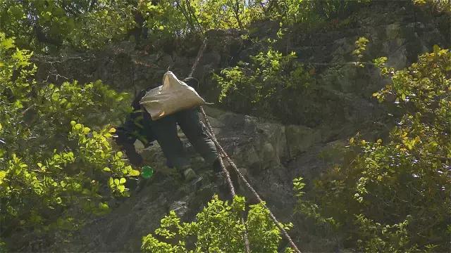 神农架自然保护区旅游攻略,神农架秘境演出值得看吗