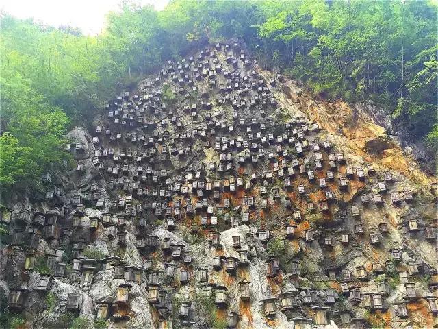 神农架自然保护区旅游攻略,神农架秘境演出值得看吗