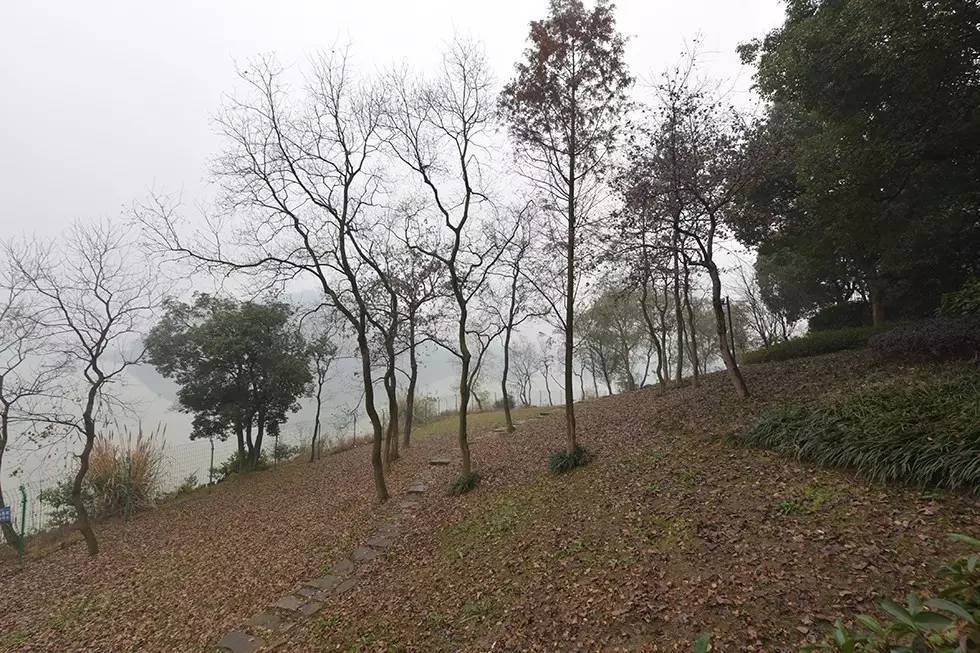 西湖向西30公里，有人用5个岛造了个意大利小镇