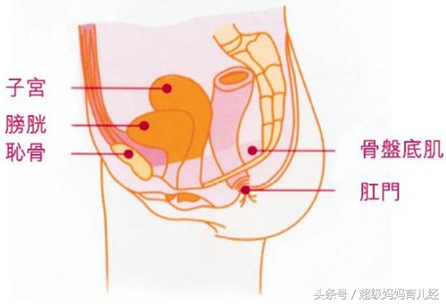 产后一咳嗽就漏尿，好尴尬！怎么办？