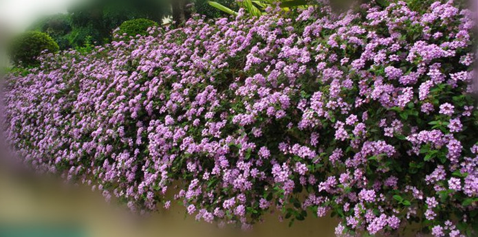 小学期末考试作文跑题扣多少分,期末作文怎么提分最好