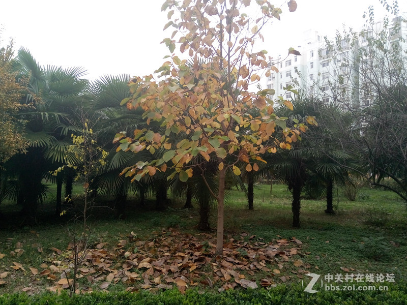 魅族5体验,魅蓝5手感