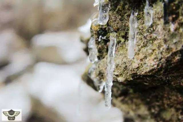 成都夏季适合徒步登山,成都初级雪山徒步
