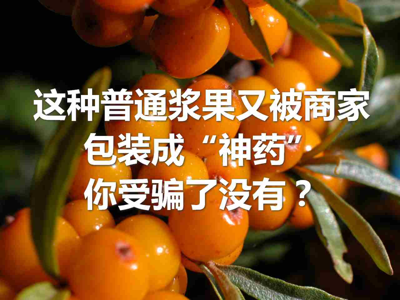 又有一种浆果被包装成“神药”，你吃了没有？