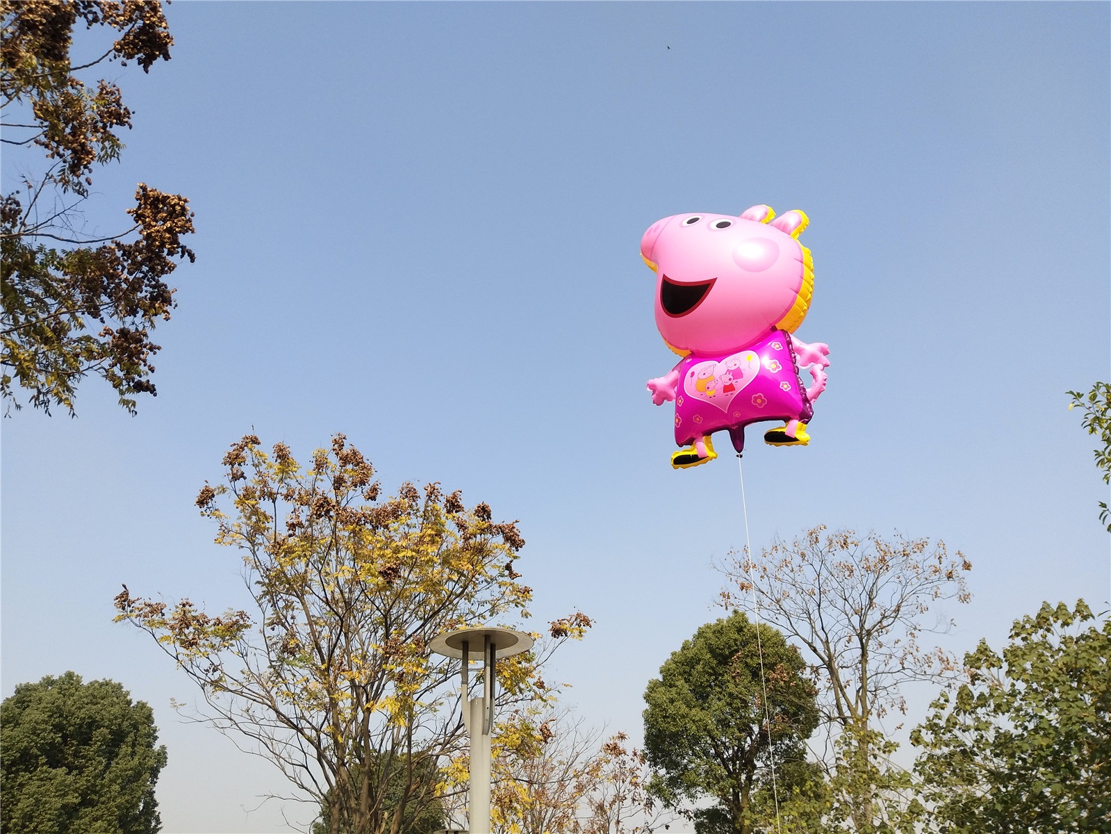 vivox9splus双摄,柔光双摄vivox9详细评测