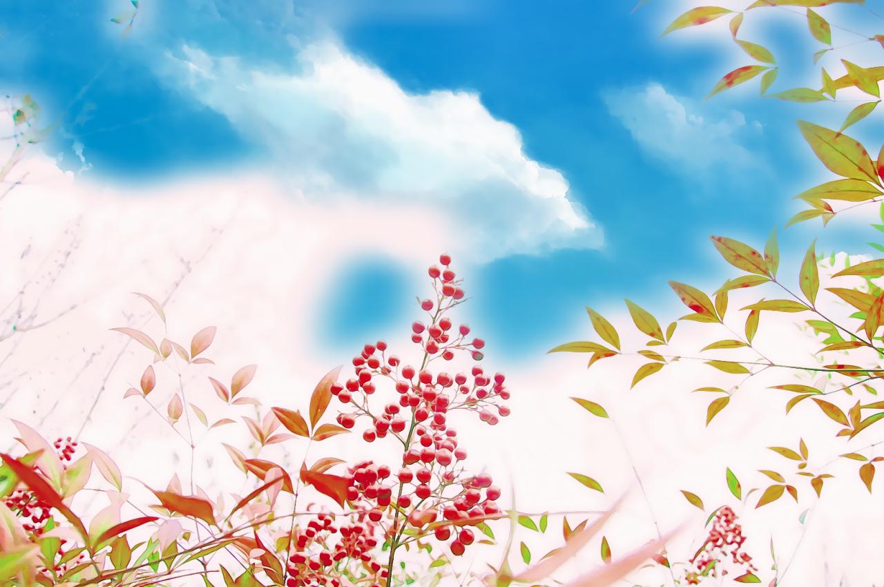 丽水学院校园风光,丽水学院的校园风光