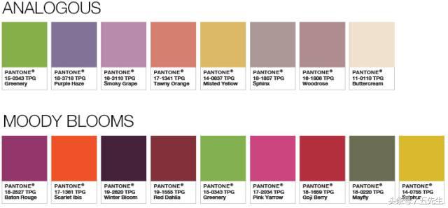 pantone公布2018年流行色彩预测,pantone公布的2019年度色彩是